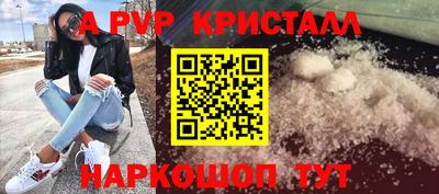 spice Кунгур