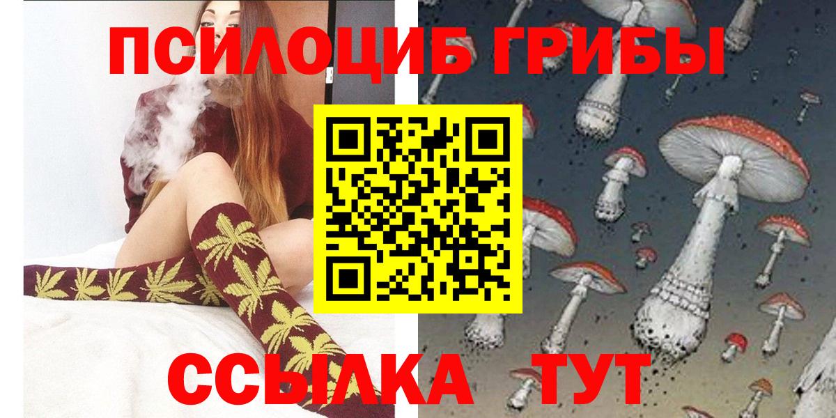 Псилоцибиновые грибы GOLDEN TEACHER  Галлюциногенные грибы Cubensis  Вход с VPN  Чита 