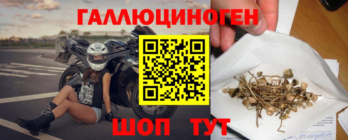 Псилоцибиновые грибы ЛСД Чита